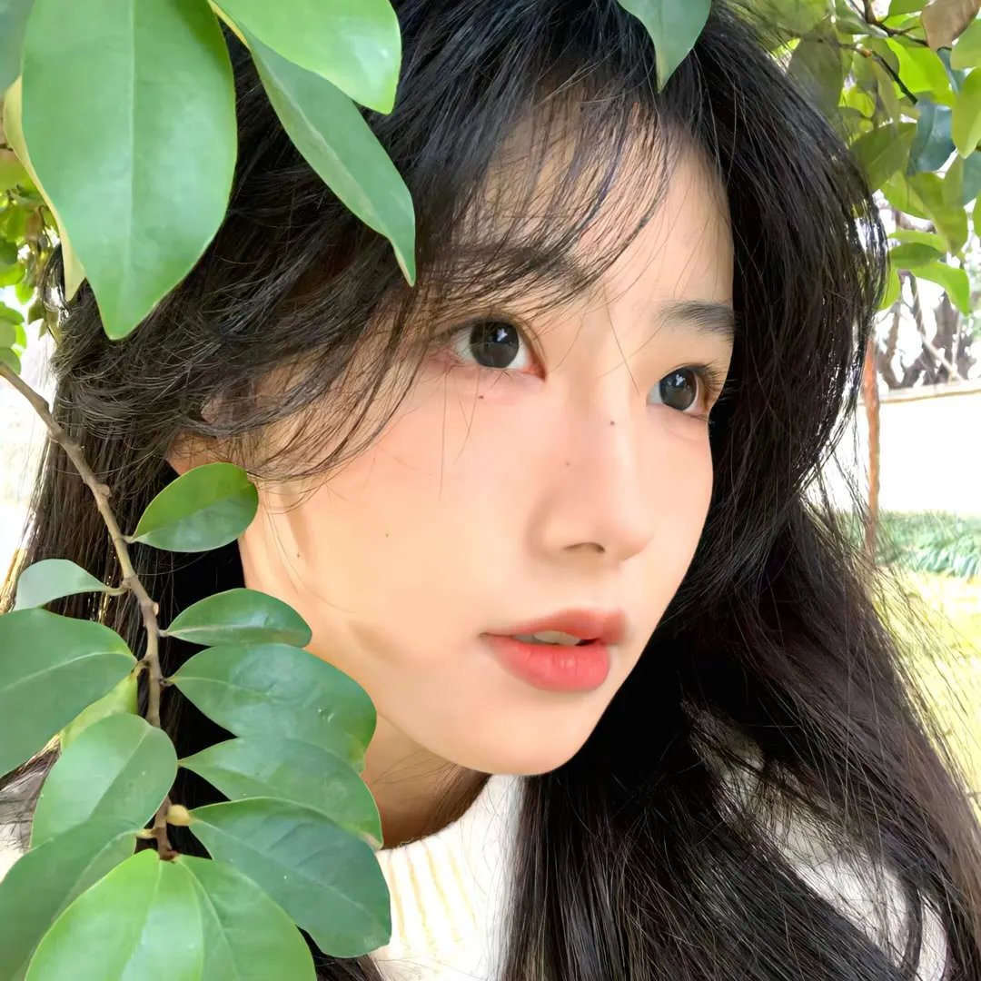 恋爱星求人粤语